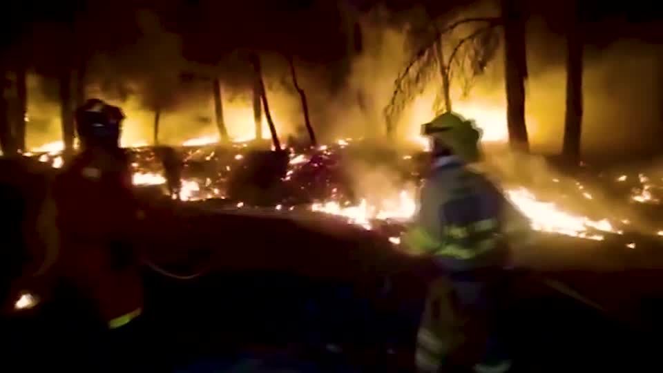 Video: Kampf gegen die Flammen Video: Kampf gegen die Flammen