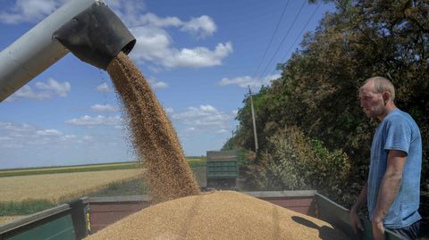 Getreide-Ernte in Mykolajiv - Ein Bauer schaut auf die Befüllung eines Anhängers