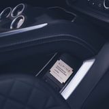 Alpine A110 E-Ternite