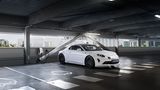 Alpine A110 E-Ternite