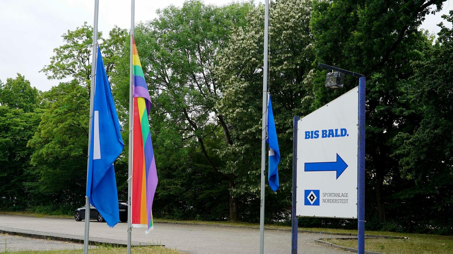 Flaggen am HSV-Trainingsgelände wegen des Todes von Uwe Seeler auf Halbmast