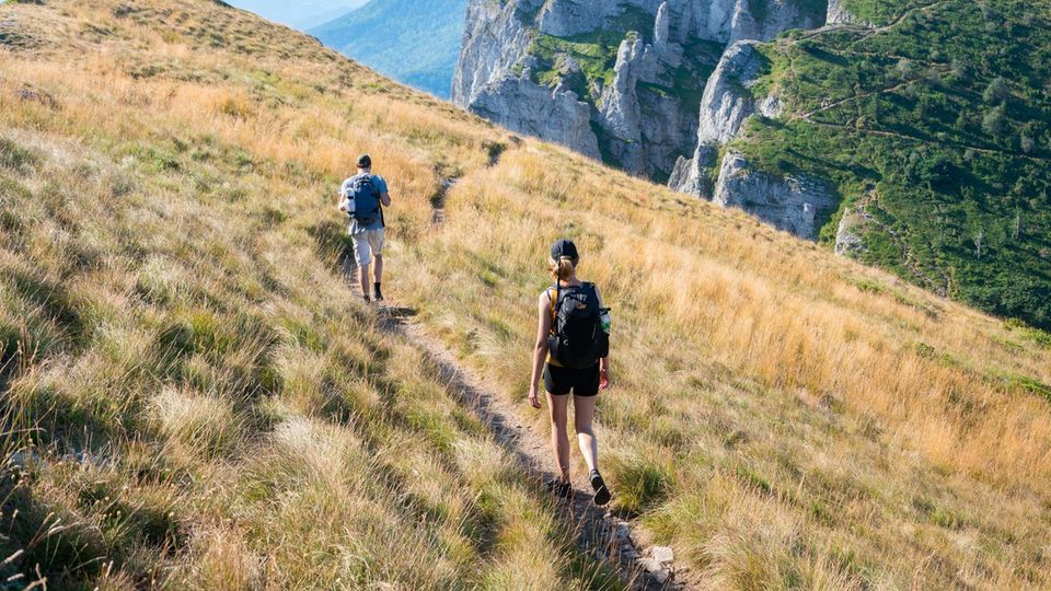 Eine Frau und ein Mann wandern eine Bergwiese entlang.