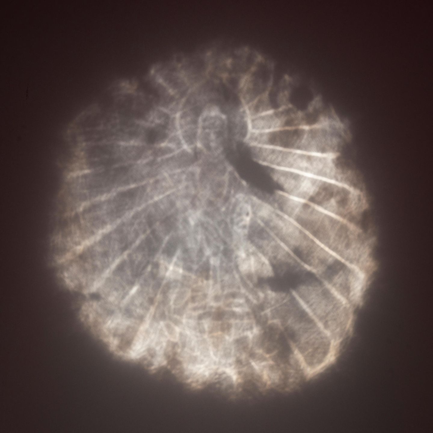 Das Bild im Detail: So sieht das Buddha-Bild an der Wand aus.