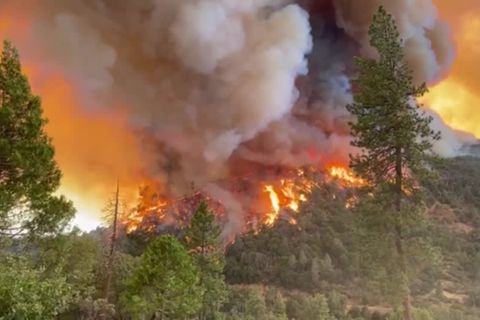 Video: USA: Waldbrand im Naturparadies