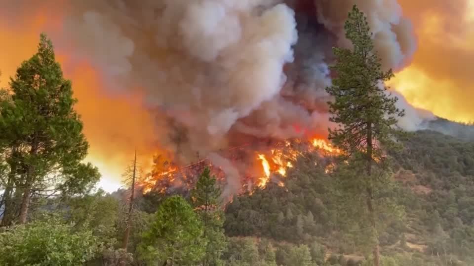 Video: USA: Waldbrand im Naturparadies Video: USA: Waldbrand im Naturparadies