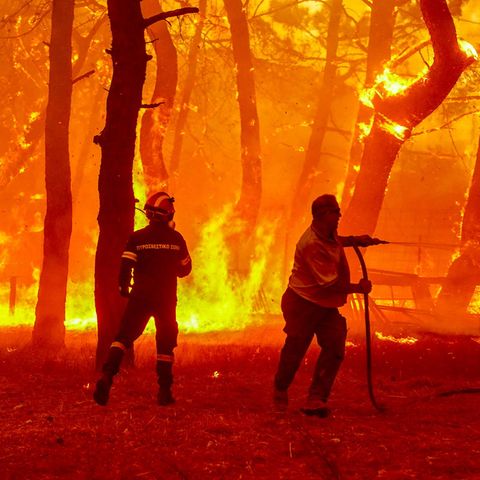 Ein Feuerwehrmann und ein Freiwilliger versuchen Flammen eines Waldbrandes zu löschen