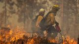 Ein Feuerwehrmann zündet mit einem Schweißbrenner ein Gegenfeuer beim Oak Fire in der Nähe von Mariposa