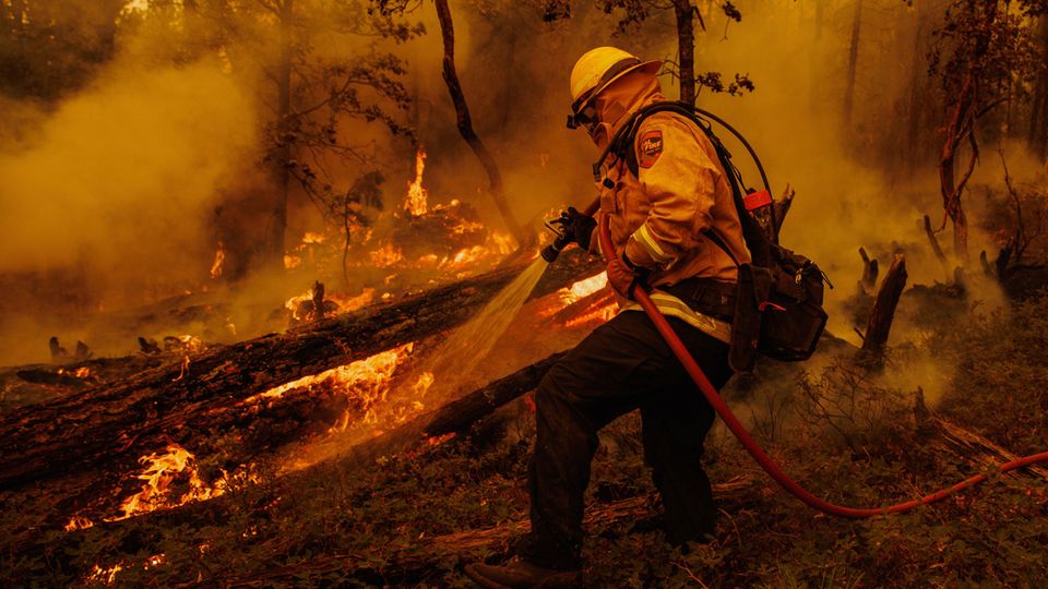 Ein Feuerwehrmann bekämpft die Flammen des Oak Fire in Mariposa County. Wegen des sich rasch ausbreitenden Feuers in der Nähe des US-Nationalparks Yosemite hat Kaliforniens Gouverneur Gavin Newsom den Notstand in dem betroffenen Gebiet verhängt.