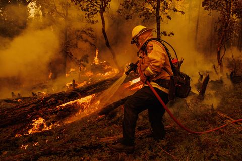 Ein Feuerwehrmann bekämpft die Flammen des Oak Fire in Mariposa County. Wegen des sich rasch ausbreitenden Feuers in der Nähe des US-Nationalparks Yosemite hat Kaliforniens Gouverneur Gavin Newsom den Notstand in dem betroffenen Gebiet verhängt.