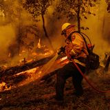 Ein Feuerwehrmann bekämpft die Flammen des Oak Fire in Mariposa County. Wegen des sich rasch ausbreitenden Feuers in der Nähe des US-Nationalparks Yosemite hat Kaliforniens Gouverneur Gavin Newsom den Notstand in dem betroffenen Gebiet verhängt.