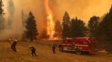 In Kalifornien waren dem Ministerium für Forstwirtschaft und Feuerschutz zufolge am Sonntag mehr als 2000 Feuerwehrleute unter anderem mit 17 Löschhubschraubern im Einsatz, um die Flammen einzudämmen.