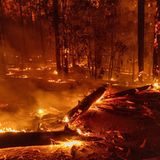Mittlerweile seien über 6000 Hektar Land betroffen und das Feuer sei weiterhin nicht eingedämmt, erklärte das kalifornische Ministerium für Forstwirtschaft und Feuerschutz am Sonntag.