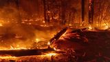 Mittlerweile seien über 6000 Hektar Land betroffen und das Feuer sei weiterhin nicht eingedämmt, erklärte das kalifornische Ministerium für Forstwirtschaft und Feuerschutz am Sonntag.