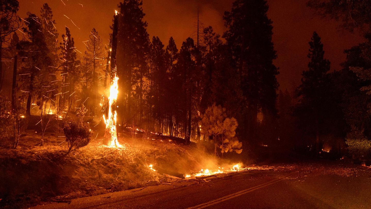 Massiver Waldbrand: Der unter einer anhaltenden Dürre leidende Westen der USA hat in den vergangenen Jahren Waldbrände von außergewöhnlichem Ausmaß und hoher Intensität erlebt. Gleichzeitig zieht sich die Brandsaison immer länger hin. Für dieses Jahr befürchten die Feuerwehren besonders heftige Brände. Der unter einer anhaltenden Dürre leidende Westen der USA hat in den vergangenen Jahren Waldbrände von außergewöhnlichem Ausmaß und hoher Intensität erlebt. Gleichzeitig zieht sich die Brandsaison immer länger hin. Für dieses Jahr befürchten die Feuerwehren besonders heftige Brände.