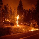 Der unter einer anhaltenden Dürre leidende Westen der USA hat in den vergangenen Jahren Waldbrände von außergewöhnlichem Ausmaß und hoher Intensität erlebt. Gleichzeitig zieht sich die Brandsaison immer länger hin. Für dieses Jahr befürchten die Feuerwehren besonders heftige Brände.