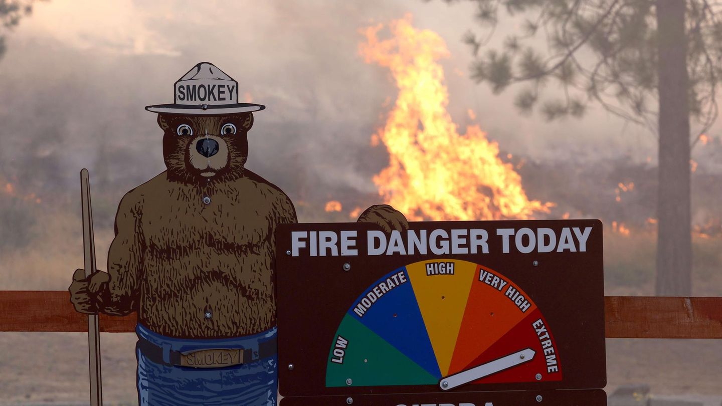 Massiver Waldbrand: Die massive Hitze soll auch in den kommenden Tagen in weiten Teile der USA anhalten. Der frühere US-Vizepräsident und Klimaaktivist Al Gore warnte im Zusammenhang mit Hitze und Dürre in den USA am Sonntag vor den Folgen der "Tatenlosigkeit" des US-Kongresses im Angesicht des Klimawandels. In einem Interview mit dem Fernsehsender ABC sagte Gore auf die Frage, ob Präsident Joe Biden den Klimanotstand ausrufen solle: "Mutter Natur hat bereits einen globalen Notstand ausgerufen." Die massive Hitze soll auch in den kommenden Tagen in weiten Teile der USA anhalten. Der frühere US-Vizepräsident und Klimaaktivist Al Gore warnte im Zusammenhang mit Hitze und Dürre in den USA am Sonntag vor den Folgen der "Tatenlosigkeit" des US-Kongresses im Angesicht des Klimawandels. In einem Interview mit dem Fernsehsender ABC sagte Gore auf die Frage, ob Präsident Joe Biden den Klimanotstand ausrufen solle: "Mutter Natur hat bereits einen globalen Notstand ausgerufen."