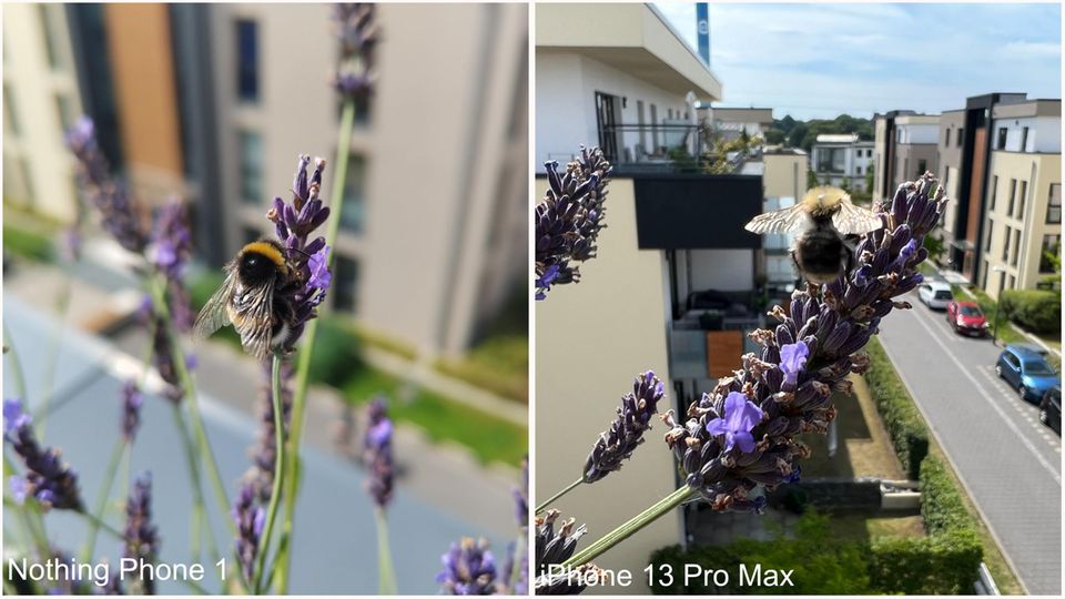 Nothing Phone 1 Vergleich iPhone 13 Pro Max
