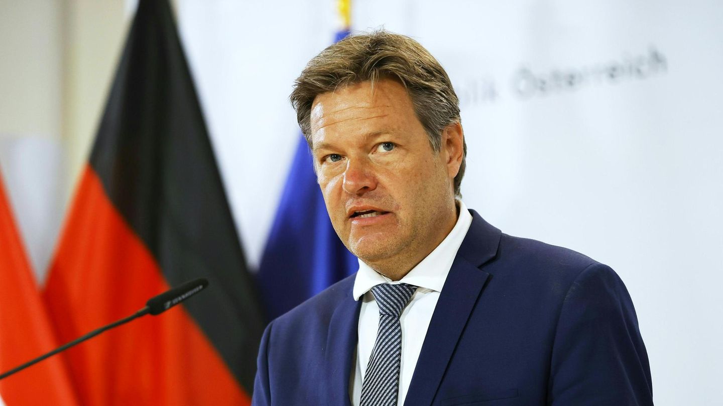 Bundeswirtschaftsminister Robert Habeck