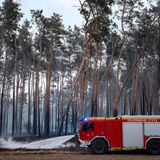 Trotz aller Bemühungen der Feuerwehr hat sich der Waldbrand im Landkreis Elbe-Elster in Brandenburg mittlerweile auf eine Fläche von rund 850 Hektar ausgeweitet