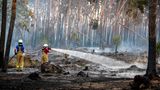Feuerwehrleute löschen Glutnester in einem Waldgebiet bei Falkenberg
