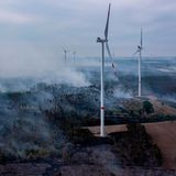 Das aus zunächst unbekannter Ursache ausgebrochene Feuer in einem Waldgebiet mit Windkraftanlagen breitete sich - angetrieben durch heftige Sturmböen - rasch aus.