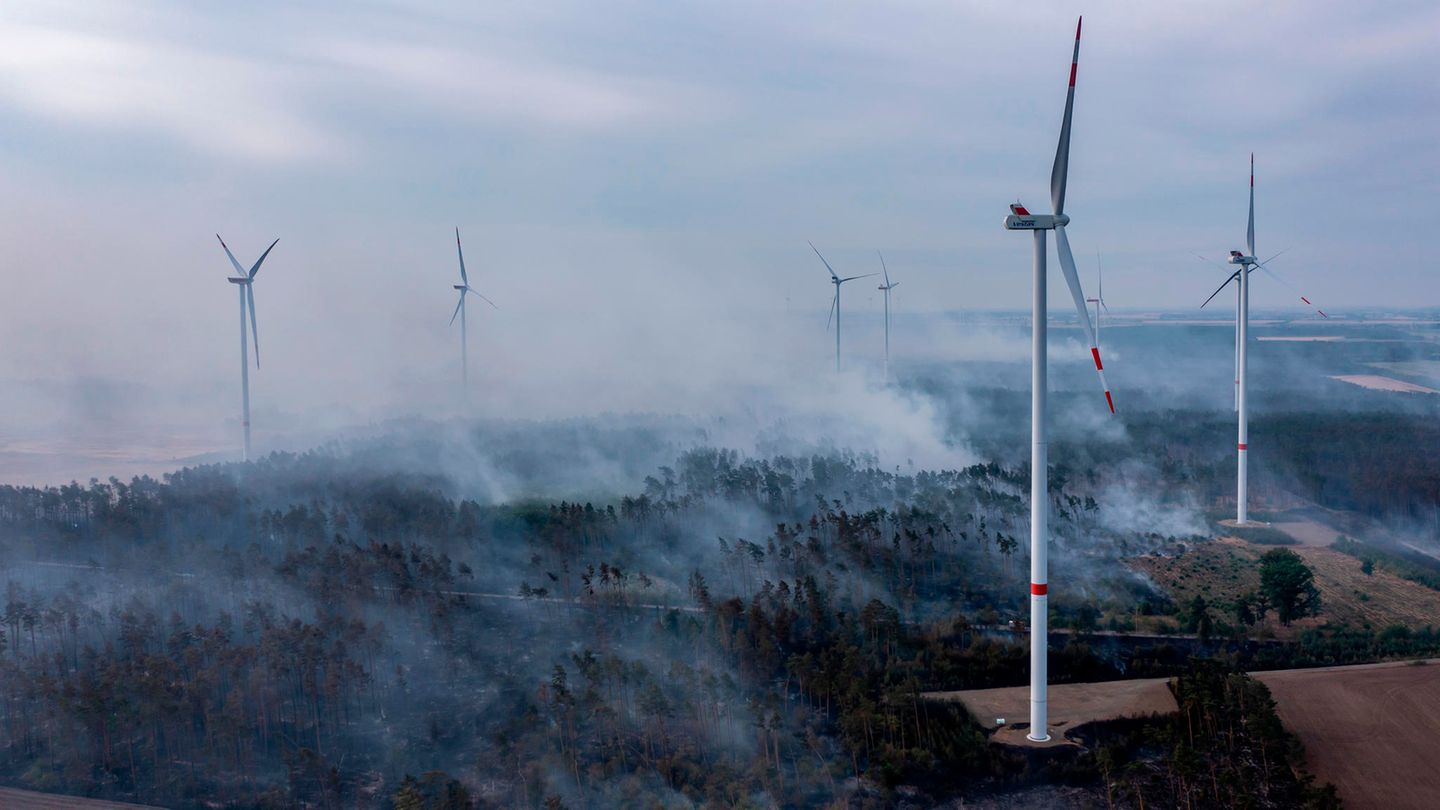 Das aus zunächst unbekannter Ursache ausgebrochene Feuer in einem Waldgebiet mit Windkraftanlagen breitete sich - angetrieben durch heftige Sturmböen - rasch aus.
