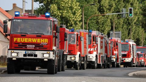 Brandenburg: Feuerwehr Evakuiert Orte Und Kämpft Gegen Waldbrand | STERN.de