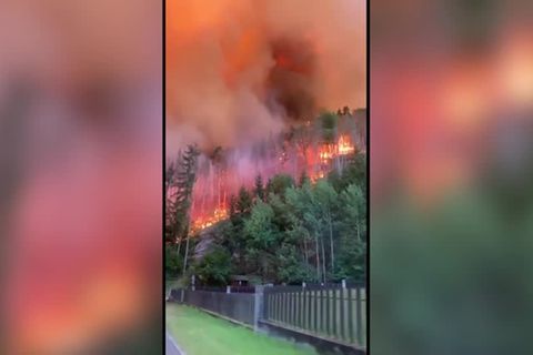 Video: Waldbrände in Sachsen