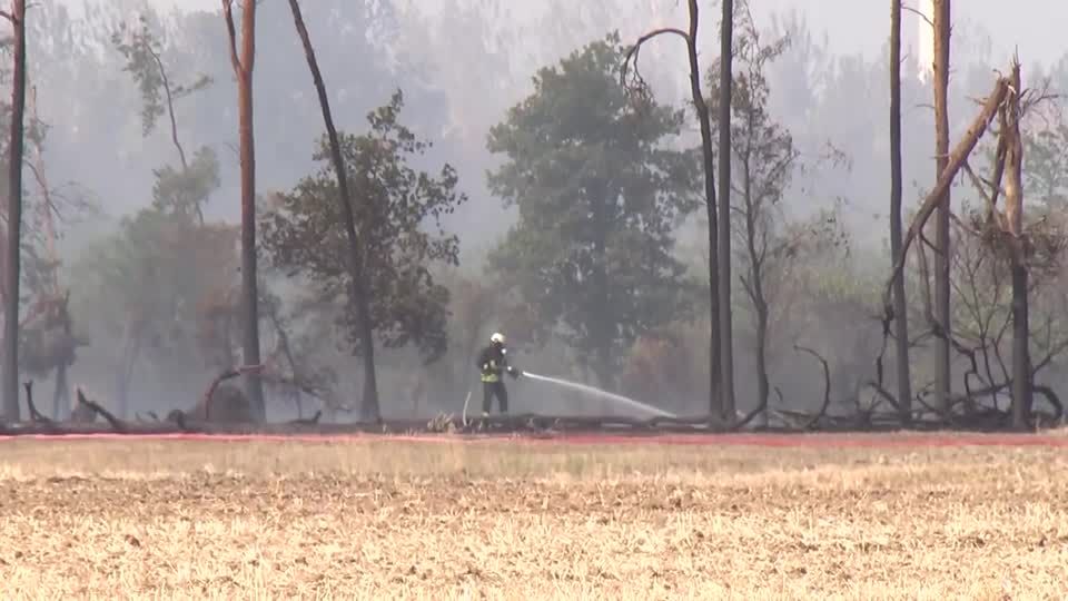 Video: Waldbrand in Brandenburg nicht unter Kontrolle Video: Waldbrand in Brandenburg nicht unter Kontrolle