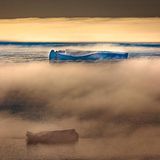 Durch den Nebel sieht man Eisberge in der Baffin Bay bei Pituffik treiben