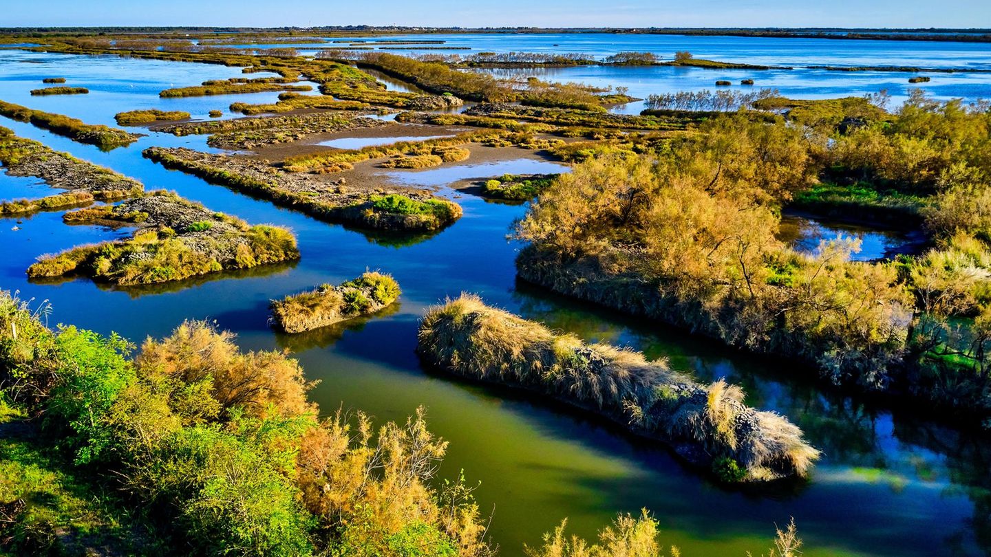 Italy, Veneto, Rosolina Mare, Parco Delta del Po Raimondi wurde in Sermide bei Stellata geboren, einem Dorf an den Ufern des Po, dem Epizentrums ihres Romans