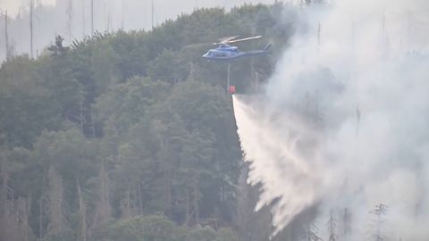 Feuerwehr filmt brennenden Wald aus dem Auto (Video)