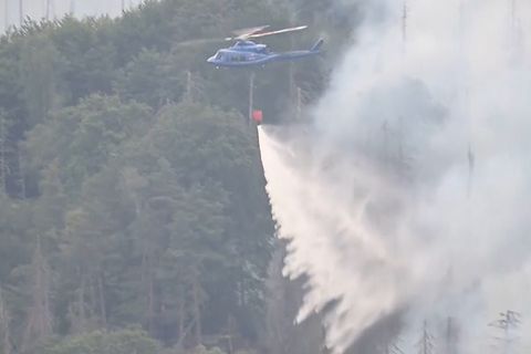Feuerwehr filmt brennenden Wald aus dem Auto (Video)