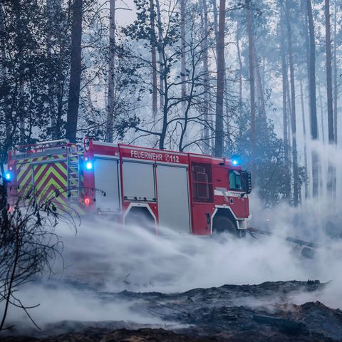 Die Feuerwehr ist in Brandenburg im Großeinsatz