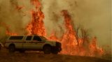 Jerseydale, US-Bundesstaat Kalifornien. Auch wenn diese lodernden Flammen aussehen, als würden sie gleich den Feuerwehr-Pick-Up verschlingen, meldet die Feuerwehr weitere Fortschritte im Kampf gegen einen Waldbrand nahe des Yosemite-Nationalparks. Ein Mittel dabei: kontrollierte Brände wie dieser.