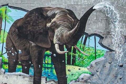 Elefant bricht durch Mauer: Riesige optische Täuschung verblüfft Betrachter
