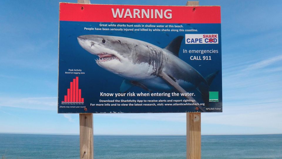 Warnschild am Strand von  Cape Cod