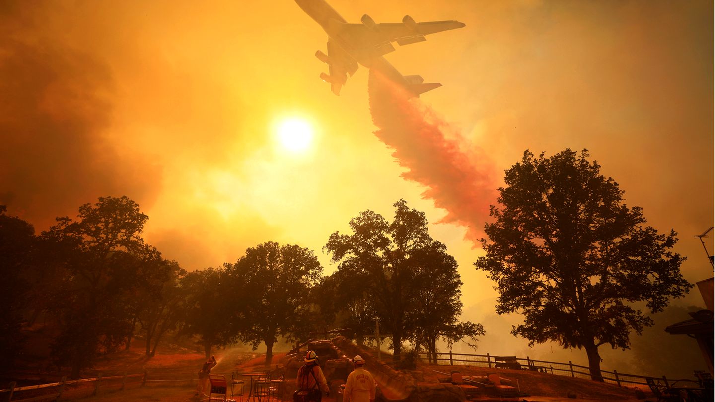 Flugzeug über Waldbrand Flugzeug über Waldbrand