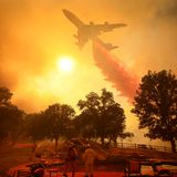 Flugzeug über Waldbrand