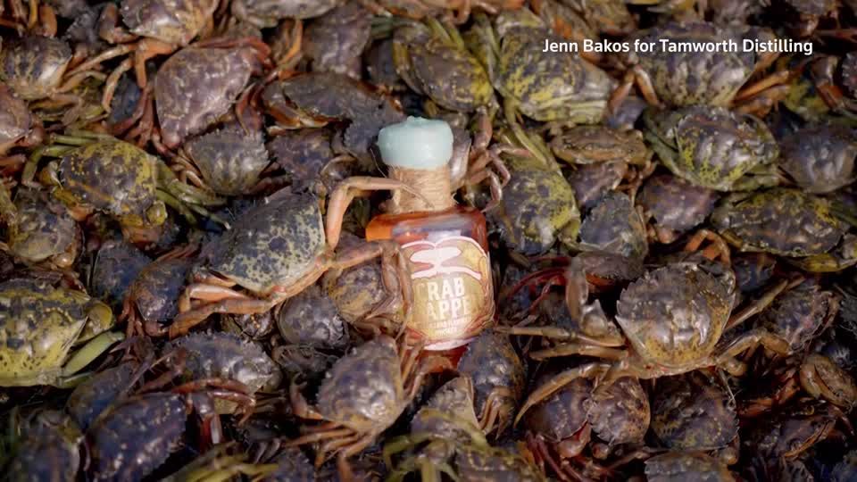 Video: Krabbenwhiskey für Kenner