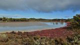 Rottnest Island