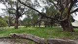 Rottnest Island