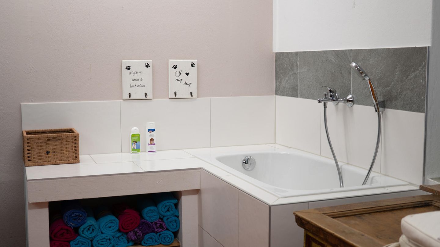 Kleine Badewanne für Hunde