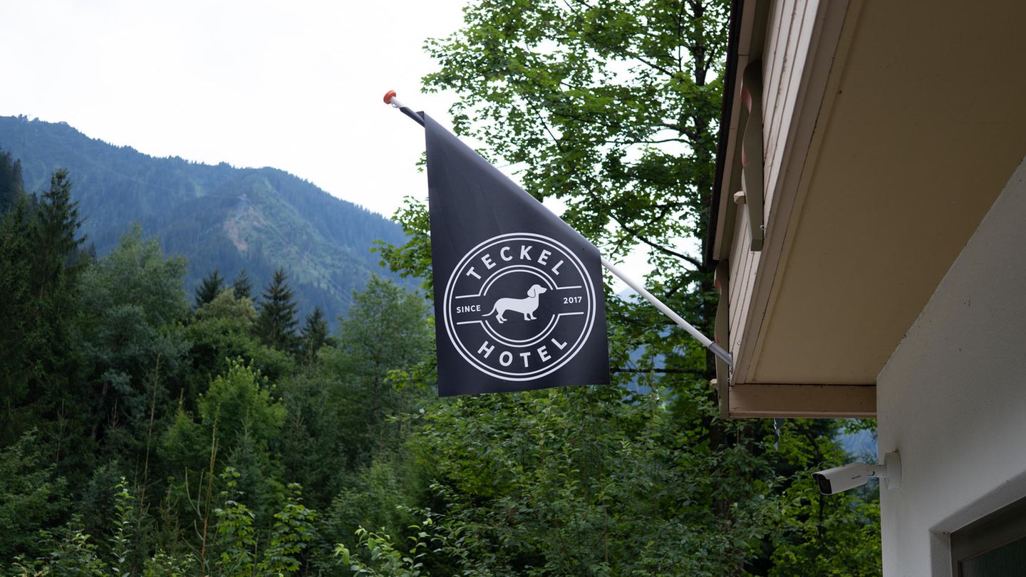 Fahne des Teckel Hotel