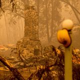 Wie ein Mahnmal ragt dieser Kamin aus den Überresten eines niedergebrannten Hauses hervor