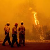 Feuerwehrleute stehen vor den Flammen des McKinney-Feuers im Klamath National Forest in Kalifornien