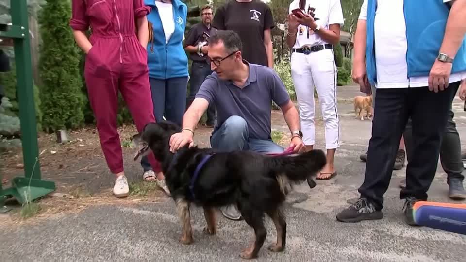 Video: Özdemir will Tierheimen helfen Video: Özdemir will Tierheimen helfen