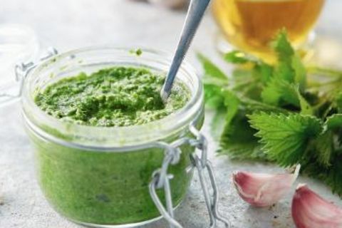 Mit nur drei Zutaten: Brennnessel-Pesto-Rezept voller Nährstoffe