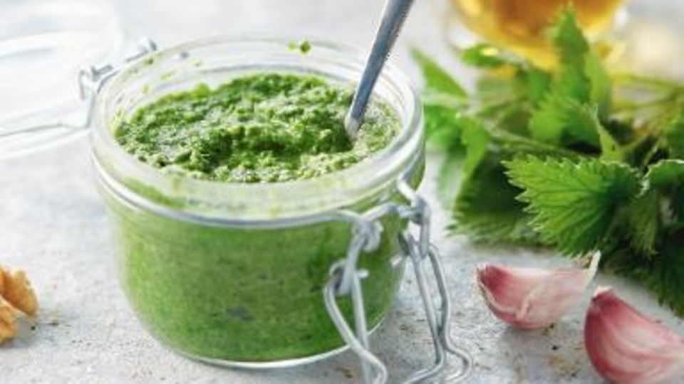 Mit nur drei Zutaten: Brennnessel-Pesto-Rezept voller Nährstoffe