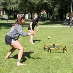 Vier Erwachsene spielen Spikeball auf einer Wiese.